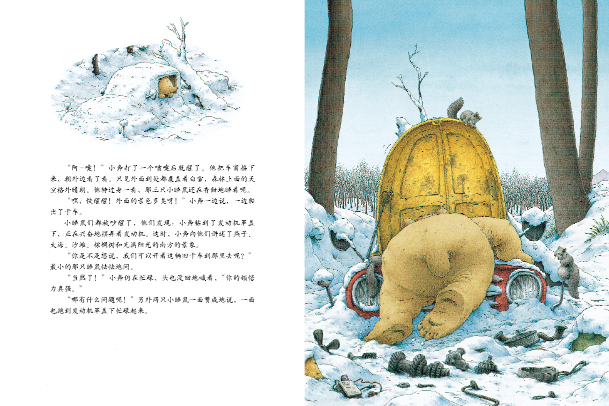 小棕熊的梦 (09),绘本,绘本故事,绘本阅读,故事书,童书,图画书,课外阅读